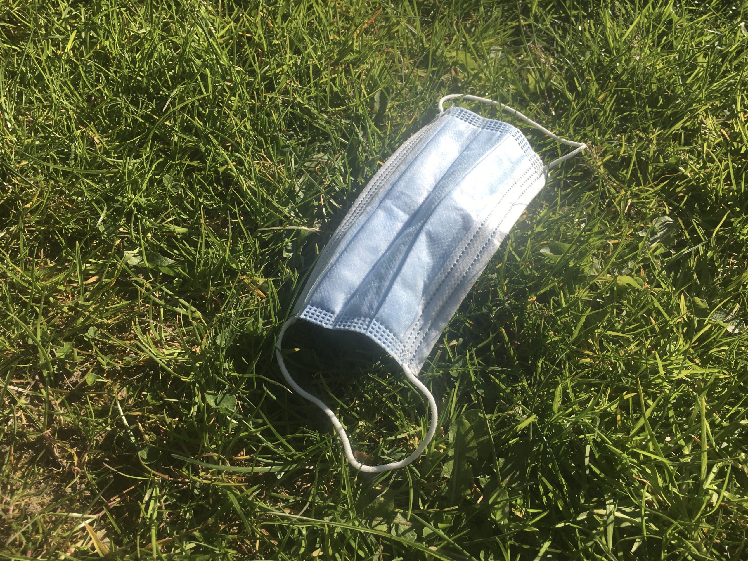 Warum man die Umwelt schützen sollte
