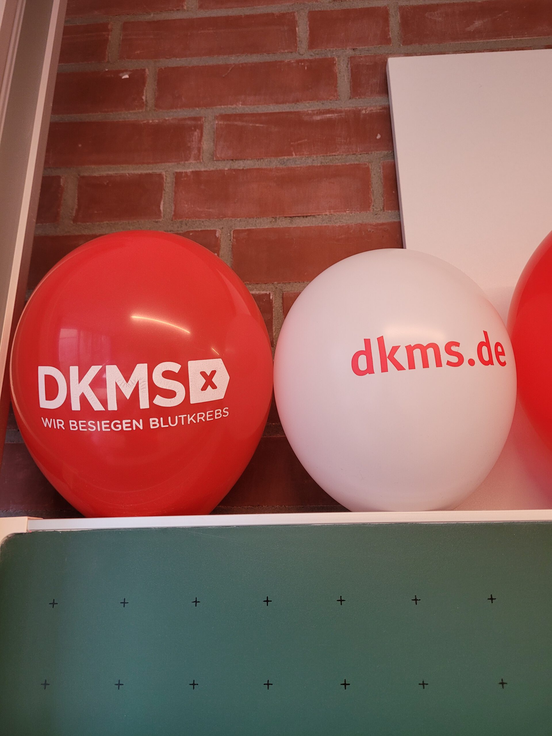 Typisierungsaktion der DKMS am Gymnasium Buxtehude Süd
