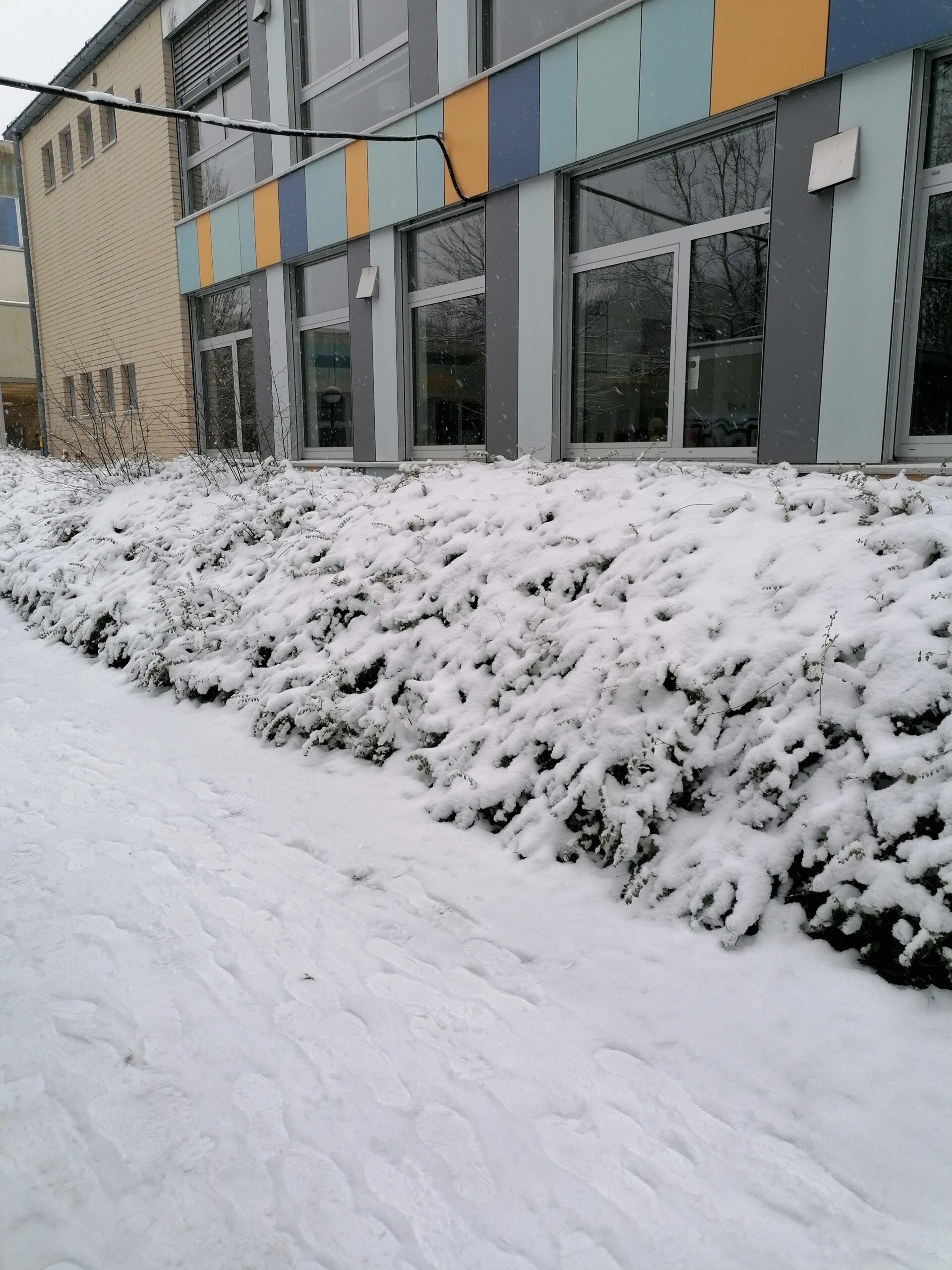 Schnee